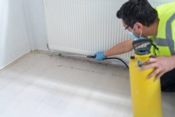 Best Affordable Pest Control Services  in Cedar Ridge, CA